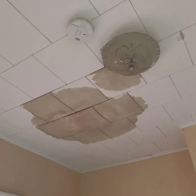 Ceiling Water Damage Repair in Watertown, SD