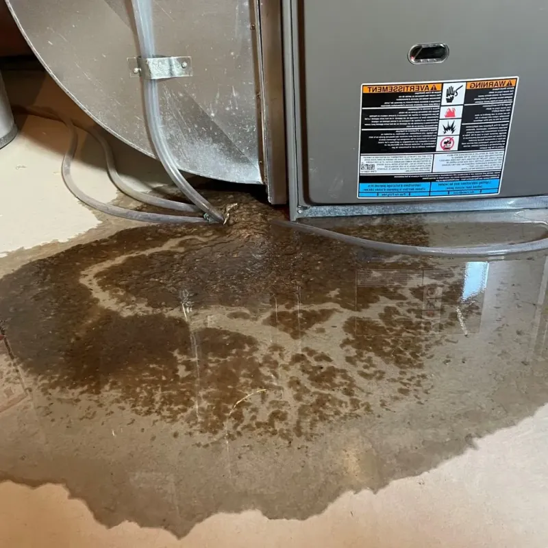 Pipe Burst and Leak Restoration in Watertown, SD